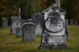 The beauty of cemeteries